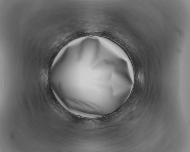 X0000113321348200910051116