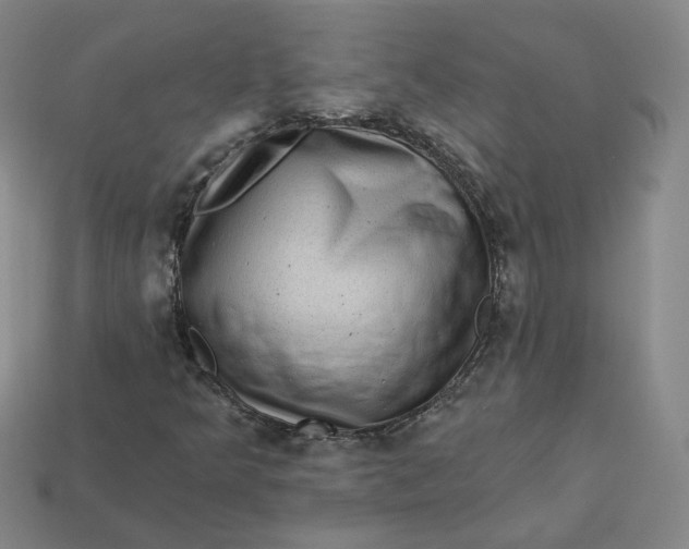 X0000113321349200910051116