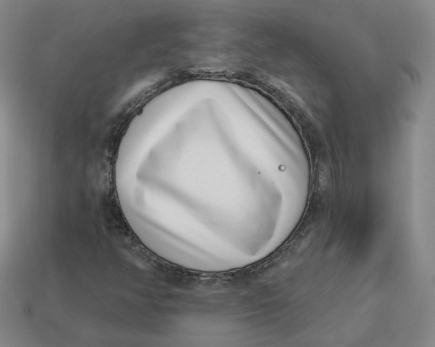 X0000113321350200910051116