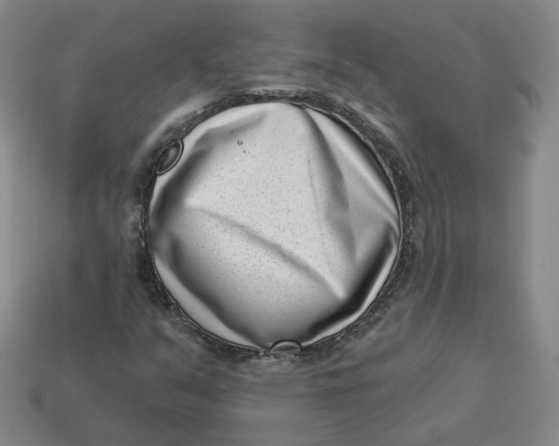 X0000113321351200910051116