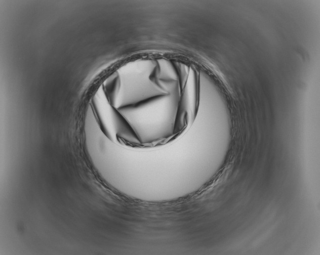 X0000113321352200910051116