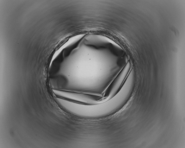 X0000113321353200910051116