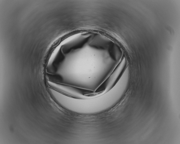 X0000113321356200910051116