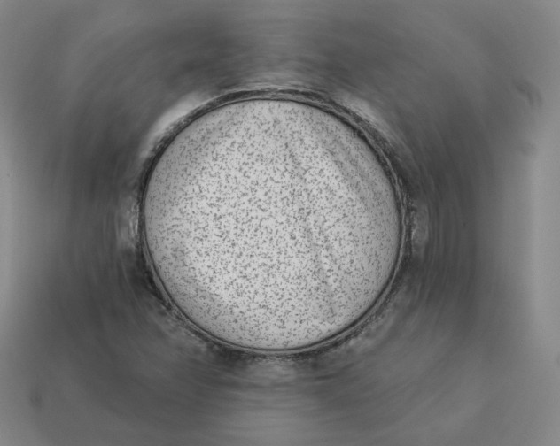 X0000113321358200910051116