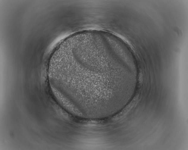 X0000113321359200910051116