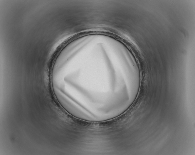 X0000113321360200910051116