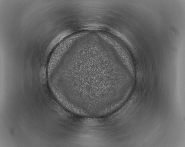 X0000113321362200910051116