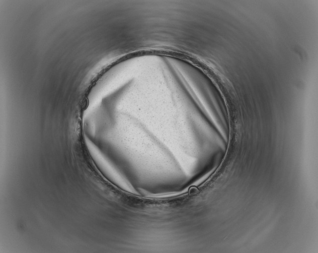 X0000113321363200910051116