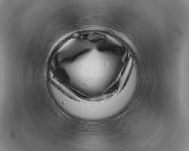 X0000113321364200910051116