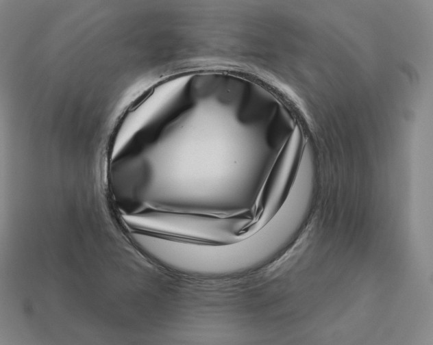 X0000113321365200910051116