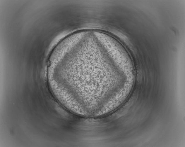 X0000113321366200910051116