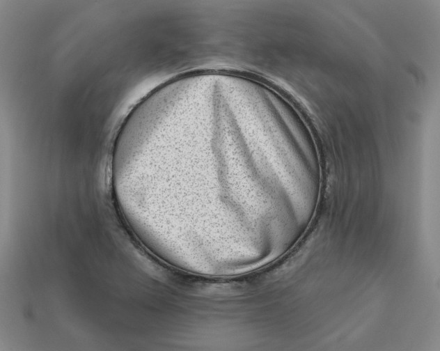 X0000113321367200910051116