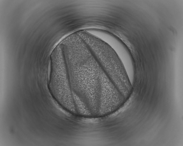 X0000113321369200910051116