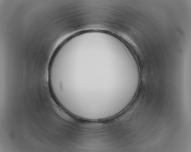 X0000113321372200910051116