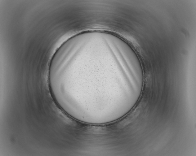 X0000113321374200910051116