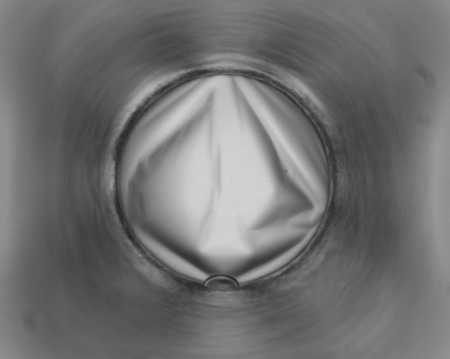 X0000113321376200910051116