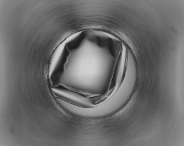 X0000113321377200910051116