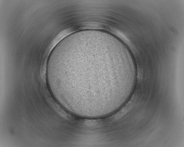 X0000113321378200910051116