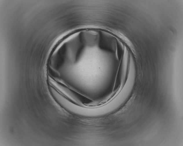 X0000113321380200910051116