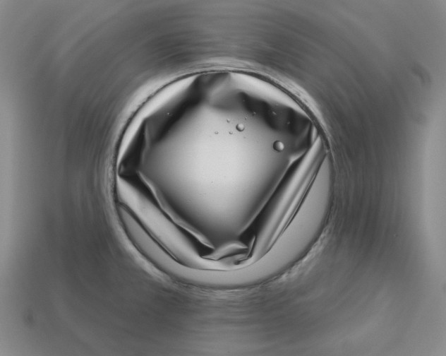 X0000113321381200910051116