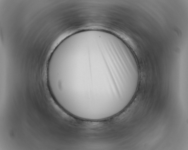 X0000113321382200910051116