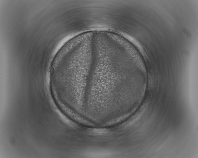 X0000113321383200910051116