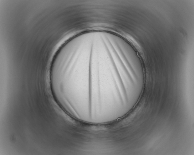 X0000113321384200910051116