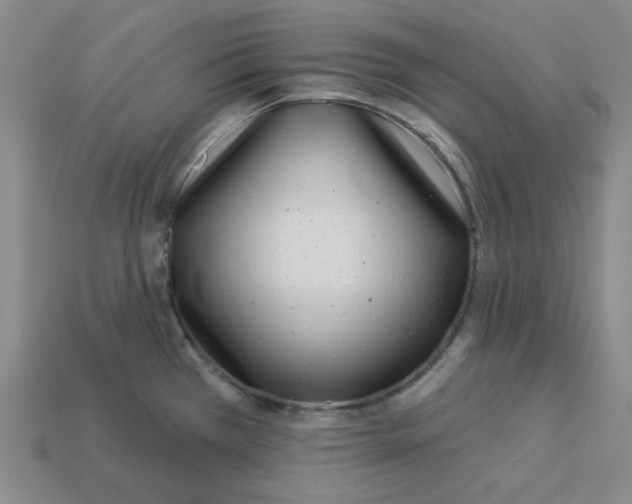 X0000113321385200910051116