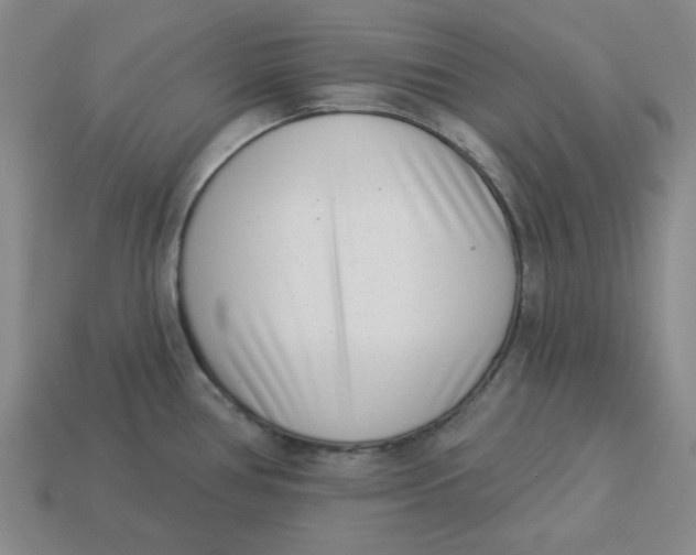 X0000113321386200910051116