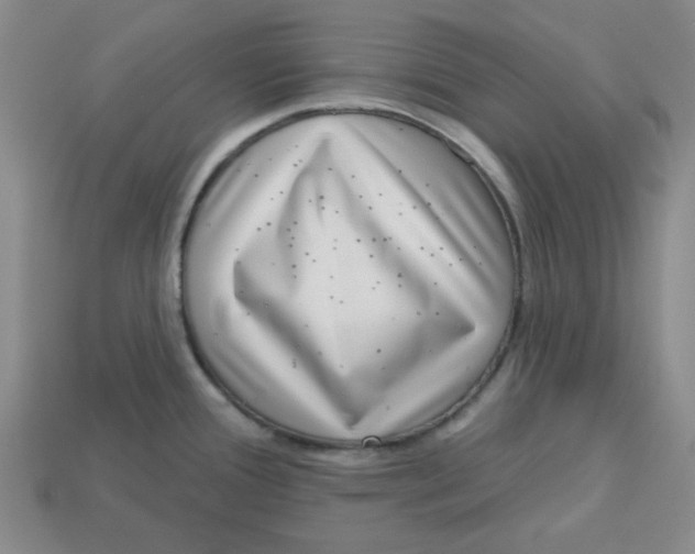 X0000113321388200910051116