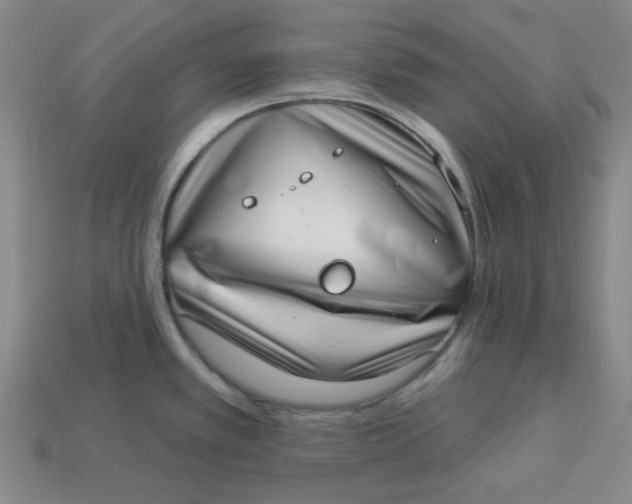 X0000113321389200910051116