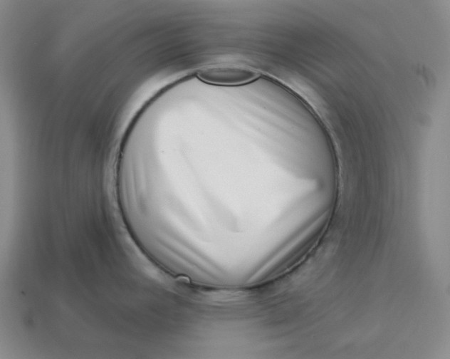 X0000113321392200910051116