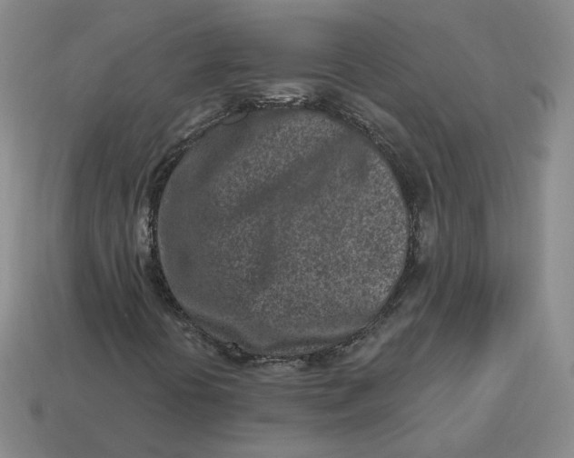 X0000113321394200910051115