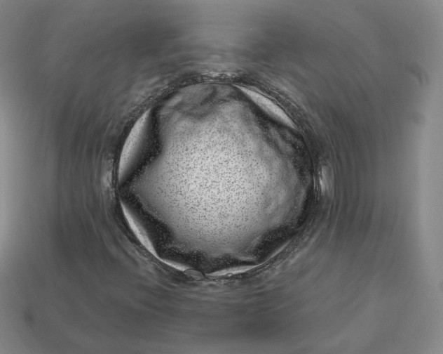 X0000113321396200910051115