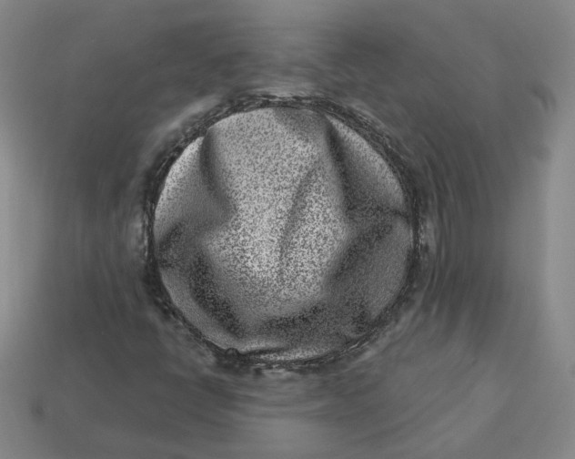 X0000113321398200910051115