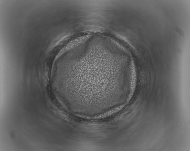 X0000113321399200910051115