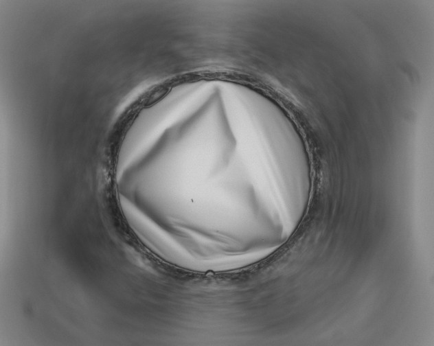 X0000113321400200910051115