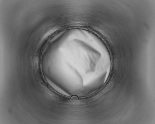 X0000113321402200910051115