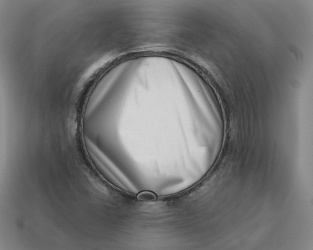 X0000113321406200910051115