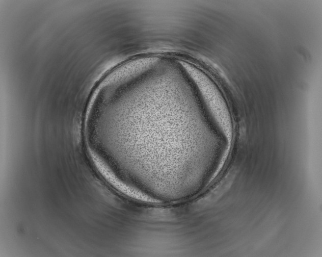 X0000113321409200910051115