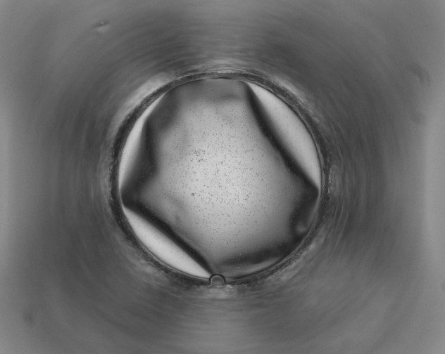 X0000113321410200910051115