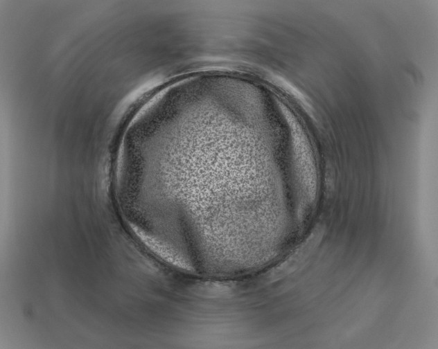 X0000113321411200910051115