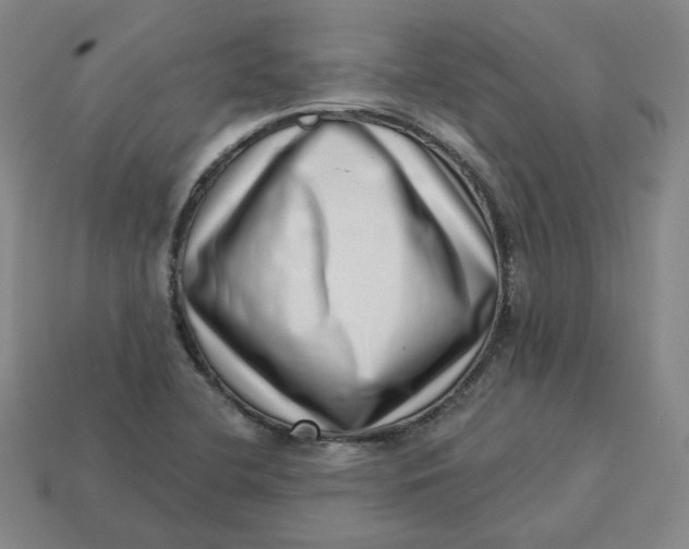 X0000113321412200910051115