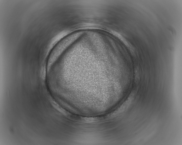 X0000113321413200910051115