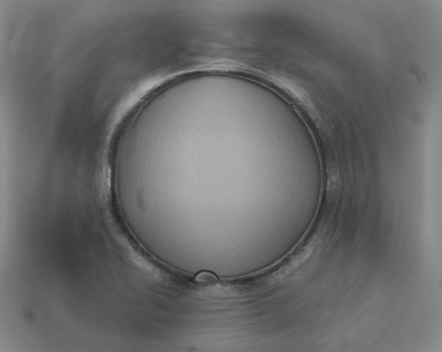 X0000113321414200910051115