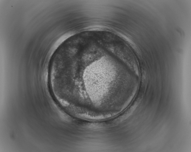 X0000113321418200910051115