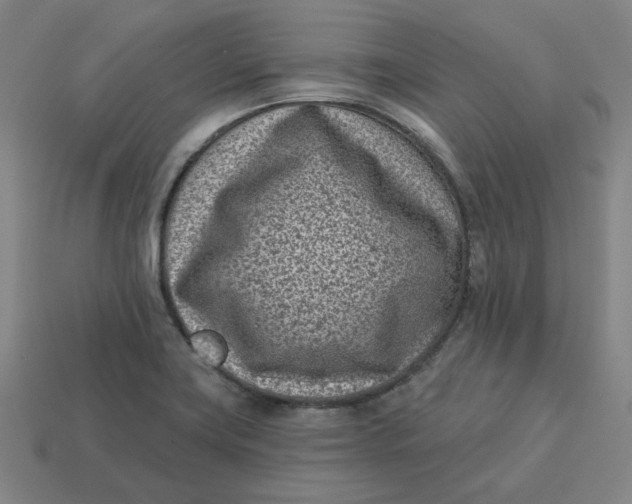 X0000113321419200910051115