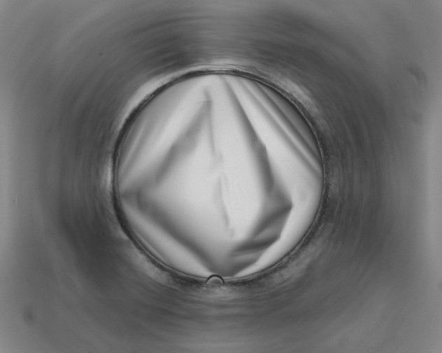 X0000113321420200910051116