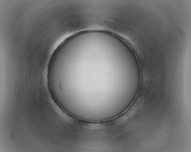 X0000113321422200910051116