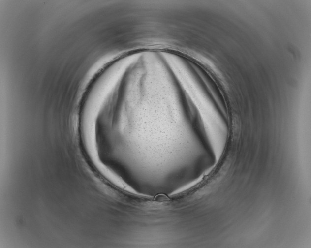 X0000113321424200910051116